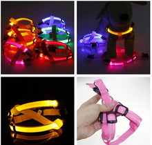 Load image into Gallery viewer, Night Pet Safety LED Dog Harness