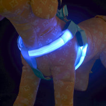 Load image into Gallery viewer, Night Pet Safety LED Dog Harness