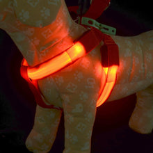 Load image into Gallery viewer, Night Pet Safety LED Dog Harness