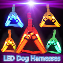 Load image into Gallery viewer, Night Pet Safety LED Dog Harness