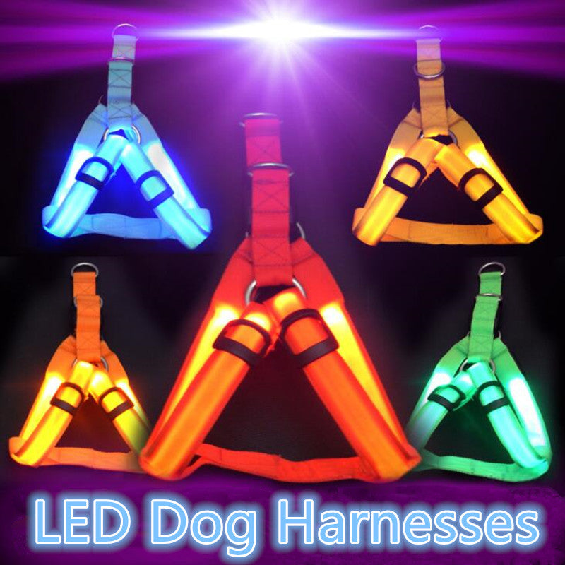 Night Pet Safety LED Dog Harness