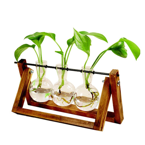 Terrarium Wooden Plant Vase